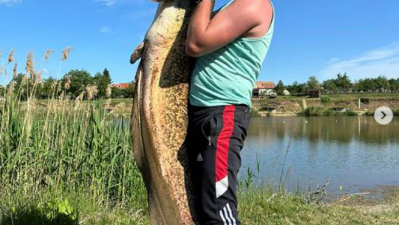 Un bărbat din Arad a prins un somn de peste 2 metri, la Sântana FOTO: Instagram/ Valentin Ștef