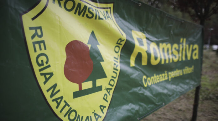 Romsilva a redobândit proprietatea a 43.000 de hectare de pădure retrocedate ilegal. ÎCCJ a închis dosarul care l-a vizat pe Hrebenciuc