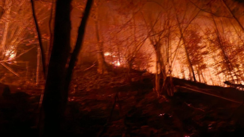 Pompierii intervin pentru stingerea unor incendii puternice de vegetație izbucnite în județele Maramureș și Satu Mare. Foto: Departamentul pentru Situaţii de Urgenţă/ Facebook