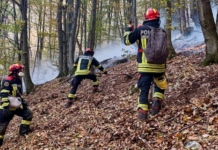 Noi intervenții pentru stingerea incendiilor din Parcul Național Domogled. Peste 1.000 de hectare sunt afectate