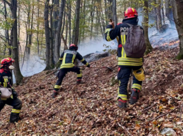 Noi intervenții pentru stingerea incendiilor din Parcul Național Domogled. Peste 1.000 de hectare sunt afectate