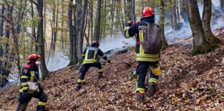 Noi intervenții pentru stingerea incendiilor din Parcul Național Domogled. Peste 1.000 de hectare sunt afectate
