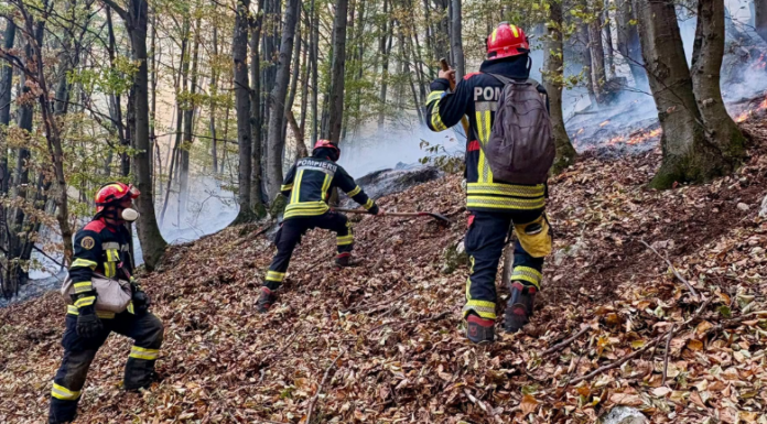 Noi intervenții pentru stingerea incendiilor din Parcul Național Domogled. Peste 1.000 de hectare sunt afectate