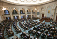 O declarație AUR privind dreptul României de a-şi proteja interesele în Politica Externă a UE, aprobată de Senat. Reacția Oanei Țoiu