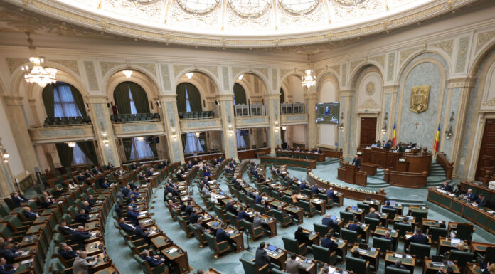 O declarație AUR privind dreptul României de a-şi proteja interesele în Politica Externă a UE, aprobată de Senat. Reacția Oanei Țoiu