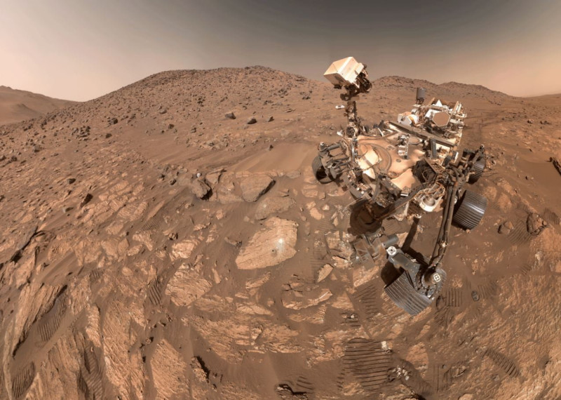 Is there life on Mars? Or maybe just a turtle?