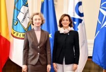 Șefa CCR, discuții cu delegația Comisiei de la Veneția despre criteriile statului de drept și controlul de constituționalitate