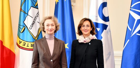 Șefa CCR, discuții cu delegația Comisiei de la Veneția despre criteriile statului de drept și controlul de constituționalitate