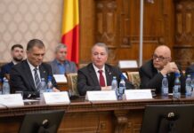 SUA și România au organizat un workshop privind combaterea dronelor aeriene