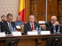 SUA și România au organizat un workshop privind combaterea dronelor aeriene