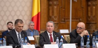 SUA și România au organizat un workshop privind combaterea dronelor aeriene