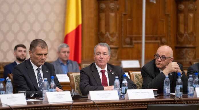 SUA și România au organizat un workshop privind combaterea dronelor aeriene